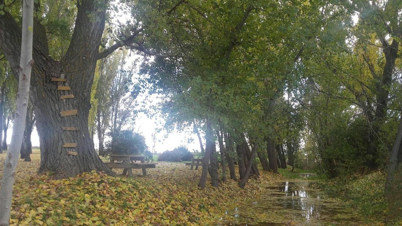 Вілла El Molino Nieva  Екстер'єр фото